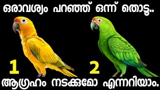 മനസ്സ് പറയുന്ന ഒരു ചിത്രം തൊടൂനിങ്ങൾക്ക് വരാൻ പോകുന്ന ഭാഗ്യങ്ങൾ അറിയാം [upl. by Thgiwd]