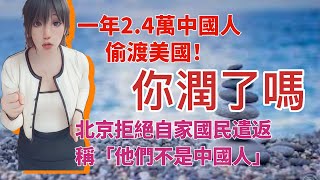 中國有錢人全潤了？逃出中國quot移民quot兩字單日被狂搜5億次！ 中國緊急封鎖移除搜尋結果 run 陳老師 润者无疆 潤學 蛋炒飯 [upl. by Ahseela]