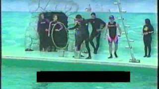 Shanik Berman programa especial con delfines Parte 04 [upl. by Drucie]