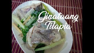 Ginataang Tilapia [upl. by Eillah]