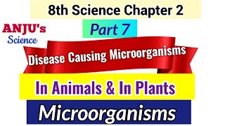 Part 7 Disease Causing Microorganisms in Animals In Plants  Class 8 Chapter 2 Microorganisms [upl. by Mab70]