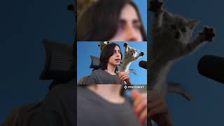 Aidan Gallagher Livestream [upl. by Eenel]