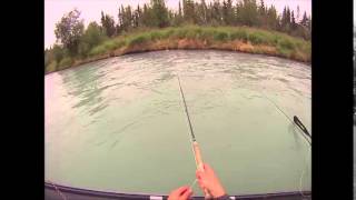 Alaska Kenai River Fishing August 2014 [upl. by Assiroc]