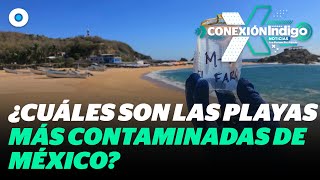 ¿Vas de vacaciones Cuidado estas son las playas mexicanas más contaminadas  Reporte Indigo [upl. by Annasiul]