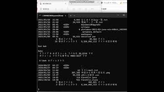 コマンドプロンプトで「DIR」コマンドを実行してみました。画面ではもともと「prompt」コマンドで表示を「＄」に変更しています。そしてPCに刺したDドライブの中身を表示しています。 [upl. by Daphie]