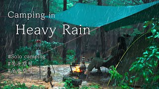 4K Solo Camping in Heavy Rain  The first crisis that came after 8 months of camping life  ASMR [upl. by Eilsew]