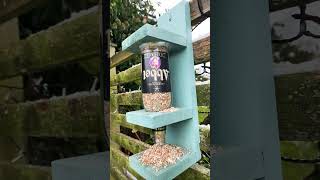 Bird feeder optic Make sure they are filled up [upl. by Dolli28]