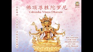 Usnisa Vijaya Dharani 佛顶尊胜陀罗尼 [upl. by Nims]