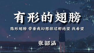 张韶涵有形的翅膀隐形翅膀 带着我幻想掠过那绝望 找希望【動態歌詞】 [upl. by Enomis812]