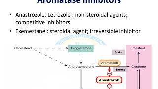 Gonadal Hormones Part 4 [upl. by Jordon]