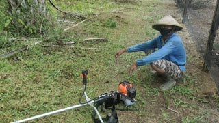 Helped clean the plantation and explained the lawn machine to this grandfather mesinrumput [upl. by Inoy]