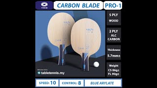 Yinhe Pro 01 Carbon Blade Table Tennis Equipment Review🏓 [upl. by Gerianne376]