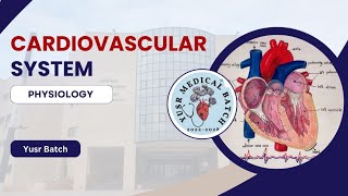 Physiology L5 C2 ECG P1 [upl. by Bouchier]