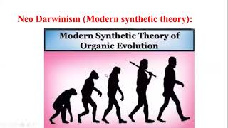 NeoDarwinism II Modern Synthetic Theory [upl. by Jews806]