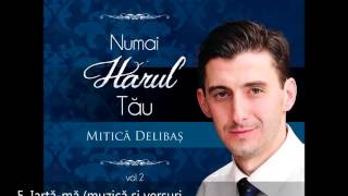 Mitica Delibas Numai harul Tau Muzica Crestina vol 2 [upl. by Airec578]