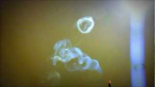 How to Making smoke rings with incense sticks [upl. by Ethban]