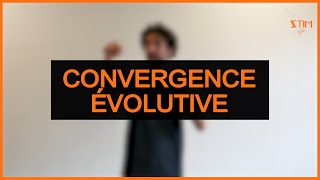 Convergence évolutive Biodiversité  LSF [upl. by Nymzaj]