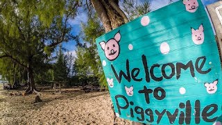 Welcome to Piggyville Feeding the Abaco Swimming Pigs in No Name Cay Bahamas  Ep25 [upl. by Erodroeht]