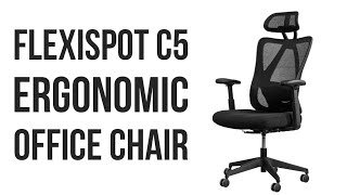 Flexispot C5  Ergonomic Standard Office Chair C5 [upl. by Rengia]