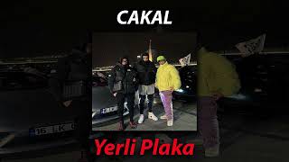 CAKAL  Yerli Plaka Slowed  Reverb [upl. by Nivak]