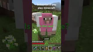 How to find a pink sheep in Minecraft [upl. by Ihculo169]