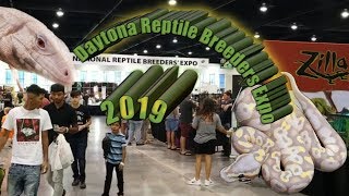 Daytona National Reptile Breeders Expo 2019 Part 1 of 3 [upl. by Yolanthe579]