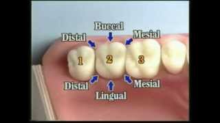 V109 Patient Records Management amp Dental Charting [upl. by Jodie]