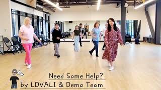 Need Some Help by LDVALI amp Demo Team [upl. by Wehttam]