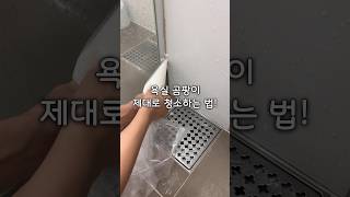 욕실 곰팡이 제대로 청소하는 법베이킹소다랑 락스로 청소해보세요청소주기도 길어져요청소꿀팁살림 [upl. by Bink]