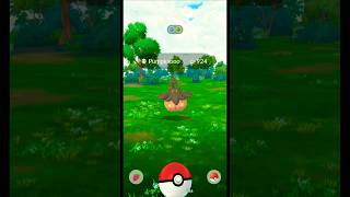 Catching HUGE XXL Pumpkaboo in Pokemon GO Shorts Pumpkaboo PokemonGOGameplay [upl. by Dusty]