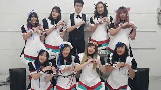 MaiWish Maid and Butler Cafe at MadFest Melbourne [upl. by Ttirrej]