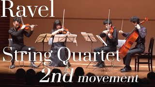 M Ravel  String Quartet 2nd movement Mラヴェル  弦楽四重奏曲 第2楽章 [upl. by Ydaf]