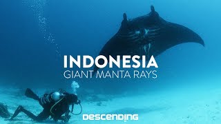 DESCENDING 4K  S1 E12  The Giant Manta Rays [upl. by Elfstan]