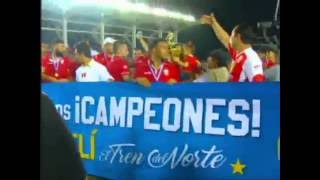 Resumen Final Torneo Clausura 2016 [upl. by Ilwain745]