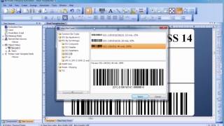 How to Use Bartender Label Design Software [upl. by Dimmick]