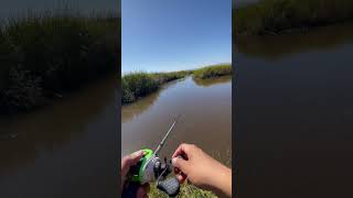 Whopper Plopper action fishing [upl. by Prebo]