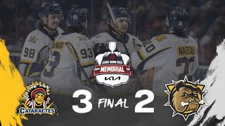 Shawinigan Cataractes 3 Hamilton Bull Dogs 2  Faits SaillantsFull Highlights  230622 [upl. by Sheryle981]