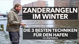 ZANDERANGELN im WINTER  3 Top Techniken für den HAFEN [upl. by Nitsid]