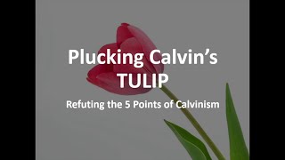 Plucking Calvins TULIP Refuting The 5 Points Of Calvinism [upl. by Iyre]