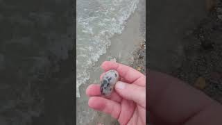 Petoskey stone at airbnbcomhjeremiahlakehouse [upl. by Uuge727]