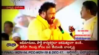 Jr Ntr Craze in Andhra Pradesh [upl. by Leonteen]