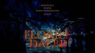 Florile Dalbe  Madalina Ignat x Ioana Ignat x Maria Magdalena Ignat [upl. by Adran]