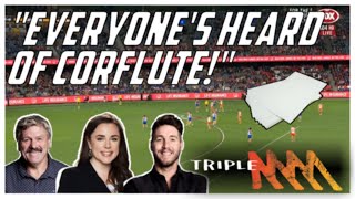 Intelligent and informative commentary during Swans vs Dogs Triple M Commentary [upl. by Kirstin]