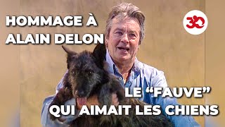 Notre hommage à Alain Delon [upl. by Eladal]