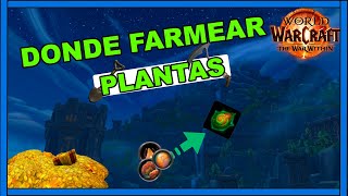 EL MEJOR SITIO PARA FARMEAR PLANTAS EN TWW  The War Within  Reckoncholis [upl. by Arted190]