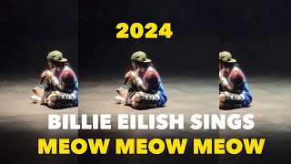 BILLIE EILISH SINGING MEOW MEOW WHAT WAS I MADE FOR ON TOUR  Billie Eilish Meow [upl. by Rollie]