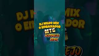 MTG SE AINDA EXISTE AMOR Funk Remix shorts sertanejoremix [upl. by Eide]