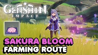 Sakura Bloom Locations Guide In Genshin Impact [upl. by Suoicserp]