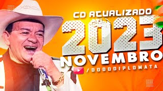 TOCA DO VALE ATUALIZADO 2023 MUSICAS NOVAS  NOVEMBRO [upl. by Eannaj]