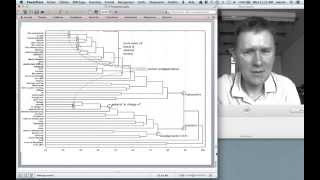 A course in Cognitive Linguistics Polysemy [upl. by Pangaro61]